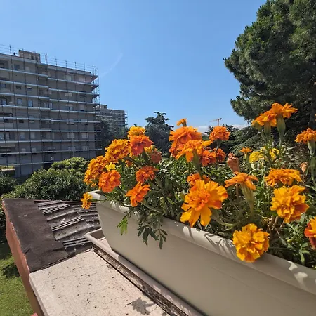 Urban Oasis 6 Pl Near City Center *